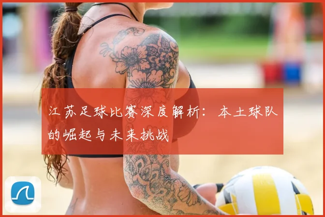 江苏足球比赛深度解析:本土球队的崛起与未来挑战