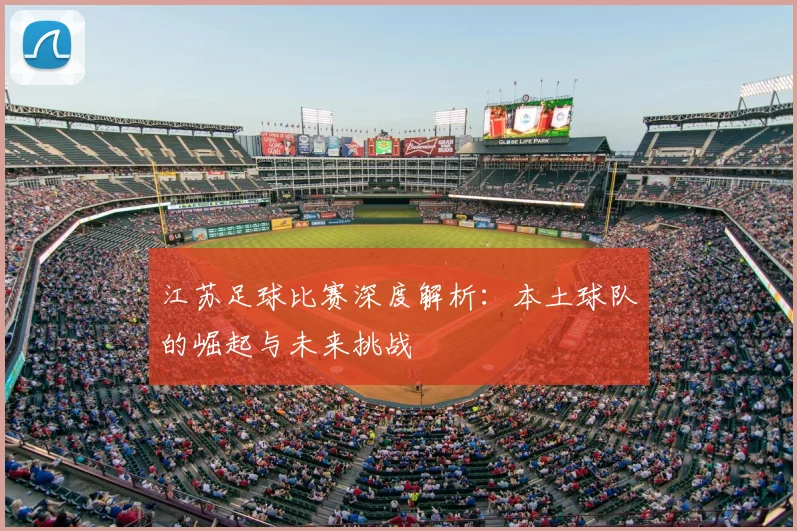 江苏足球比赛深度解析：本土球队的崛起与未来挑战